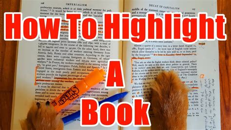 Should I Highlight My Books? – A Debate on the Perks of Book Highlighting